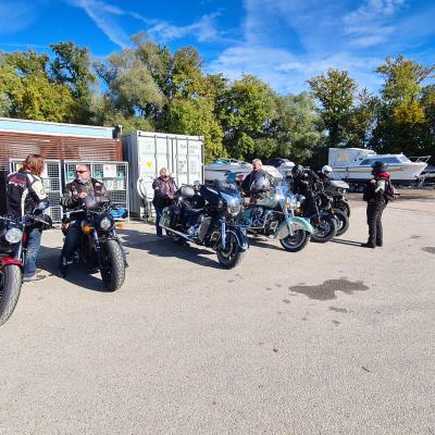 Herbst Mittag Pier 11 Solothurn 11