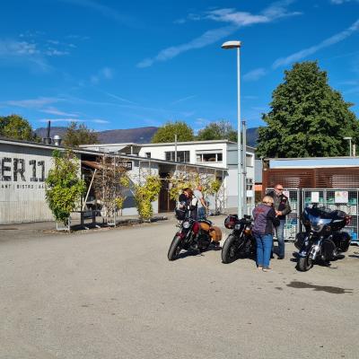 Herbst Mittag Pier 11 Solothurn 9